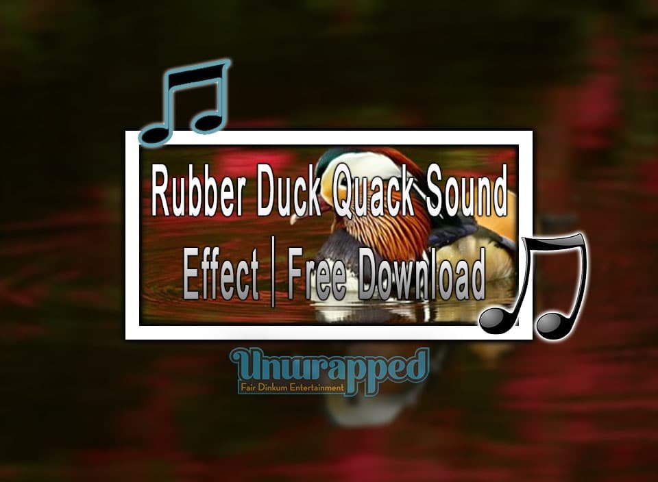 Rubber Duck Quack Sound Effect｜Free Download
