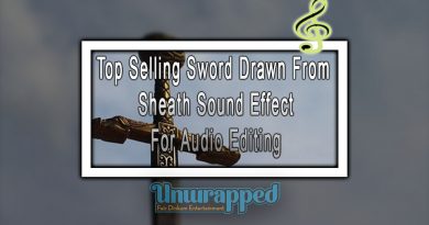 Top Selling Sword Drawn From Sheath Sound Effect For Audio Editing
