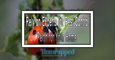 Rely on Experts for Pest Control Perth for Your Home
