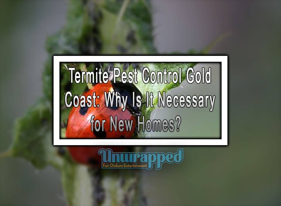 Termite Pest Control Gold Coast: Why Is It Necessary for New Homes?