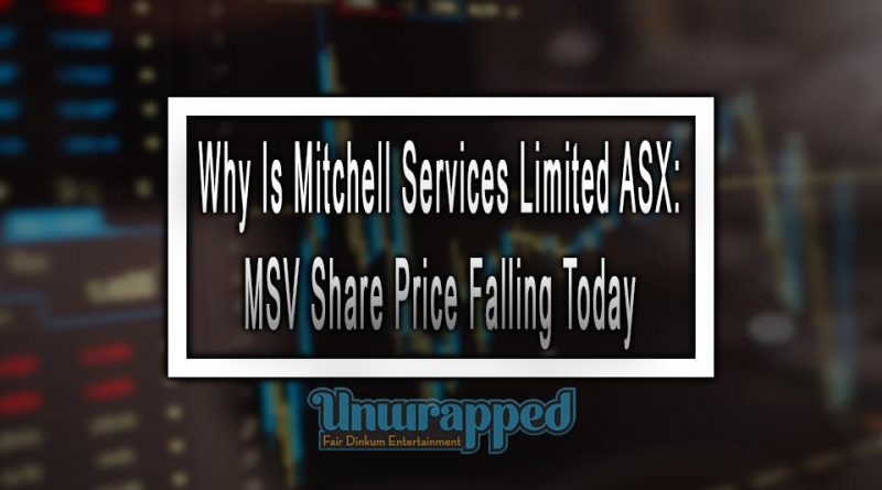 Why Is Mitchell Services Limited ASX: MSV Share Price Falling Today