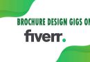 The Best Brochure Design on Fiverr