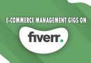 The Best E-Commerce Management on Fiverr