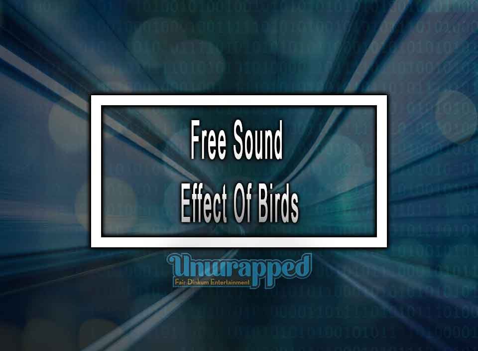 Free Sound Effect Of Birds