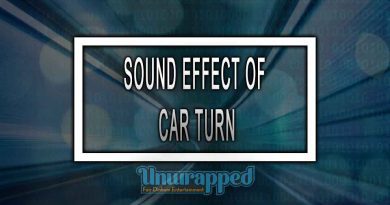 SOUND EFFECT OF CAR TURN