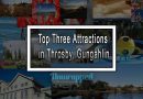 Top Three Attractions in Throsby, Gungahlin