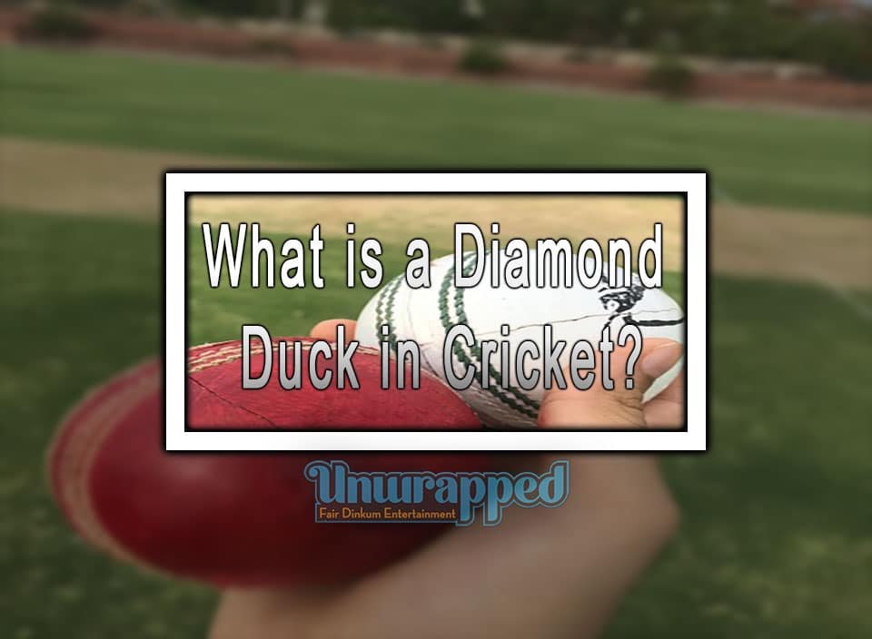 What is a Diamond Duck in Cricket?