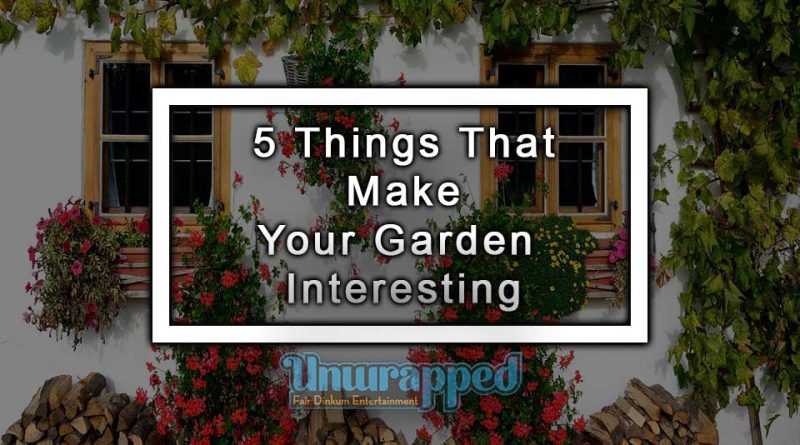5 Things That Make Your Garden Interesting