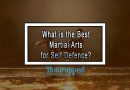 What is the Best Martial Arts for Self Defence?