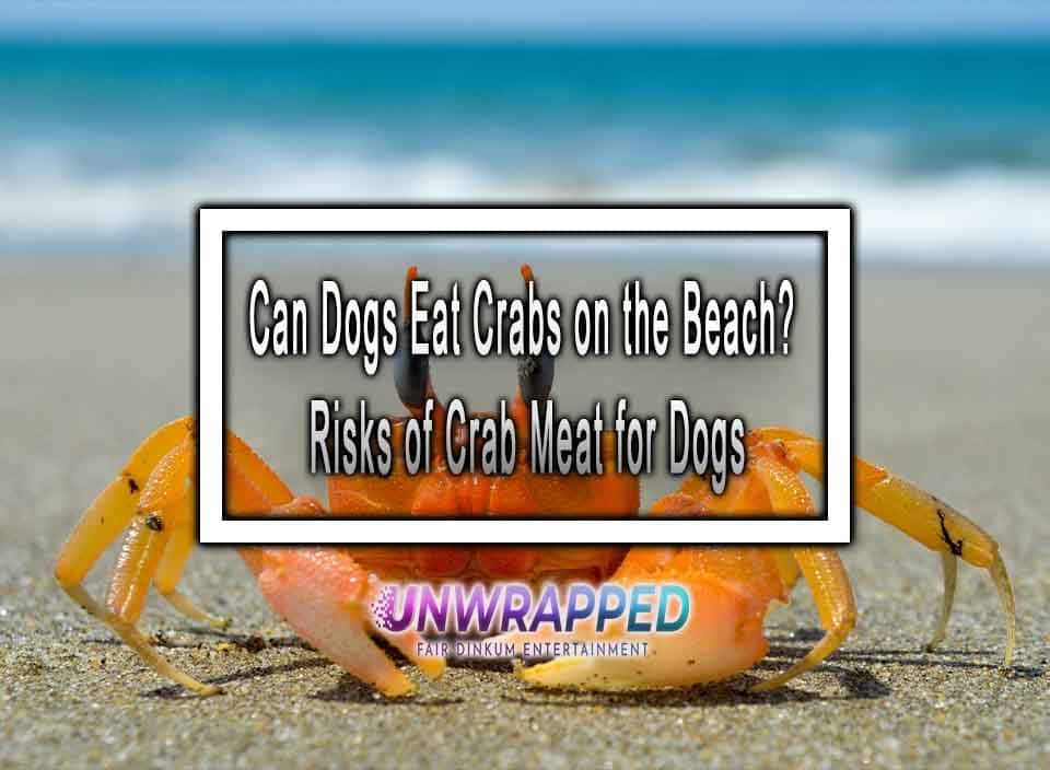 Can dogs have crab meat hotsell