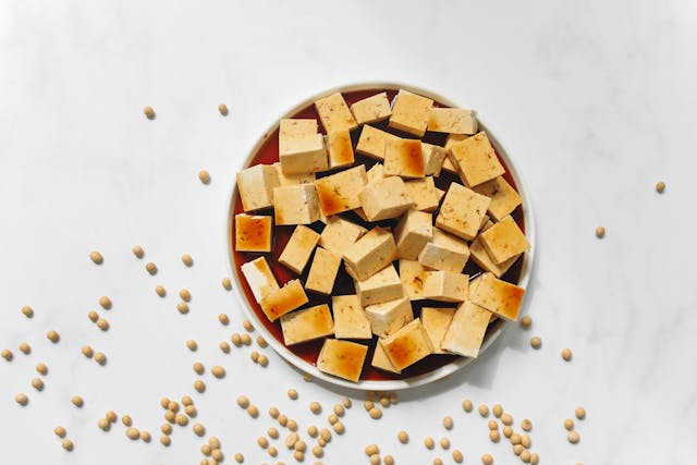tofu for dogs