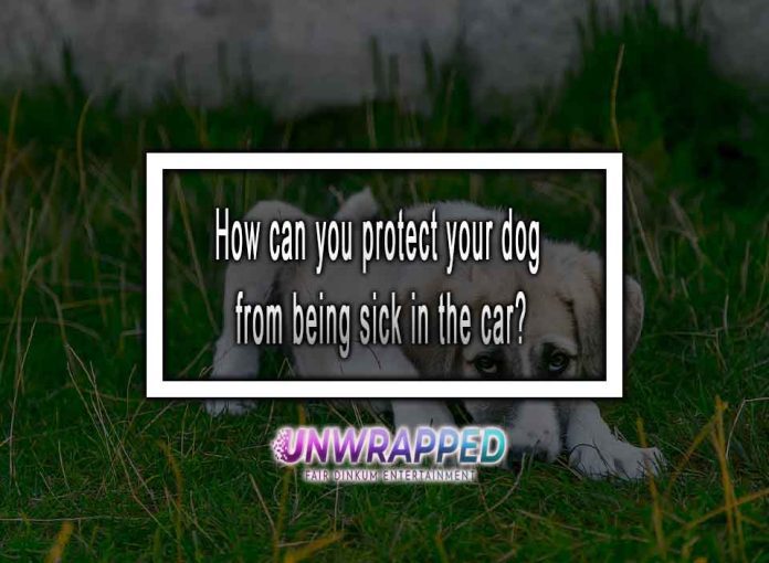 How can you protect your dog
