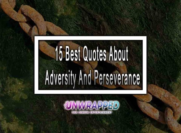 15 Best Quotes About Adversity And Perseverance