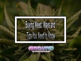 Buying Weed: Ways and Tips You Need to Know