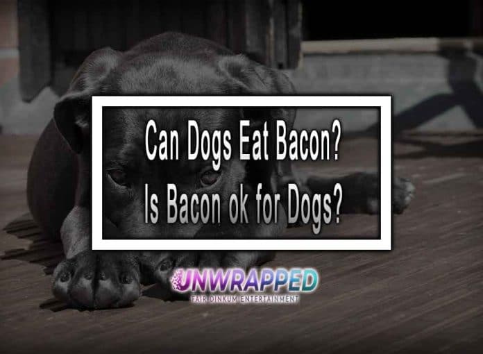 Can Dogs Eat Bacon? Is Bacon Ok For Dogs?