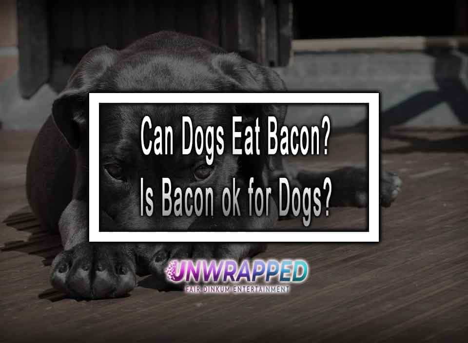 Can Dogs Eat Bacon? Is Bacon Ok For Dogs?