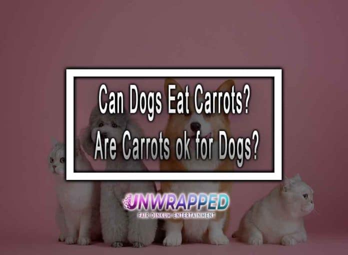 Can Dogs Eat Carrots? Are Carrots ok for Dogs?