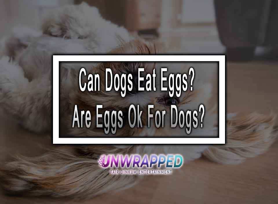 Can Dogs Eat Eggs Are Eggs Ok For Dogs 