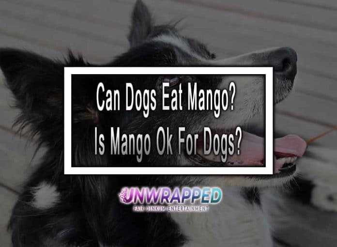 Can Dogs Eat Mango? Is Mango Ok For Dogs?