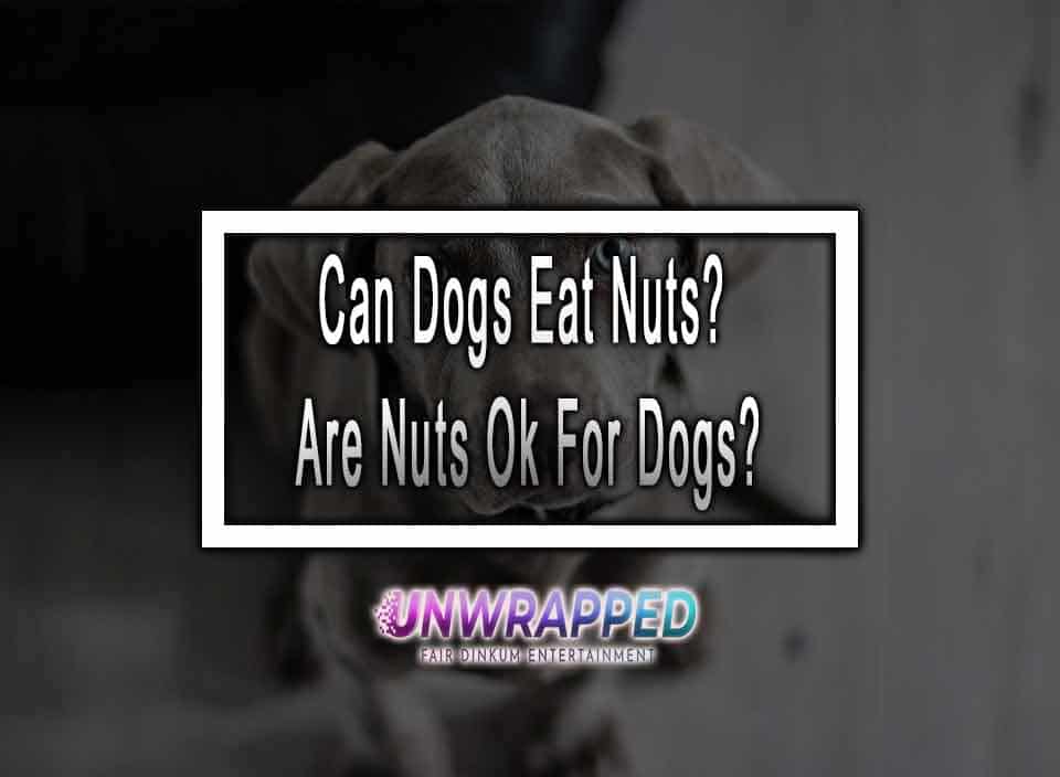 Can Dogs Eat Nuts? Are Nuts Ok For Dogs?