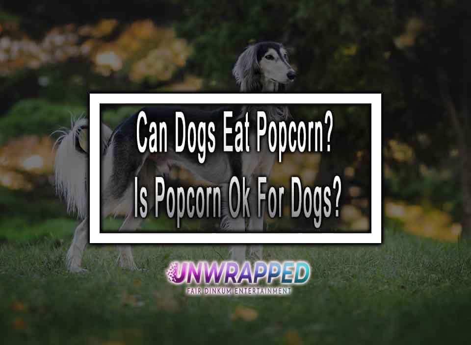 Can Dogs Eat Popcorn? Is Popcorn Ok For Dogs?