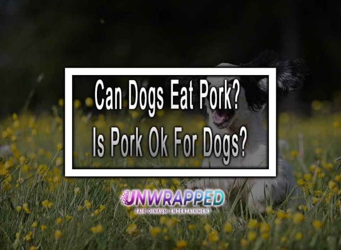 Can Dogs Eat Pork? Is Pork Ok For Dogs?