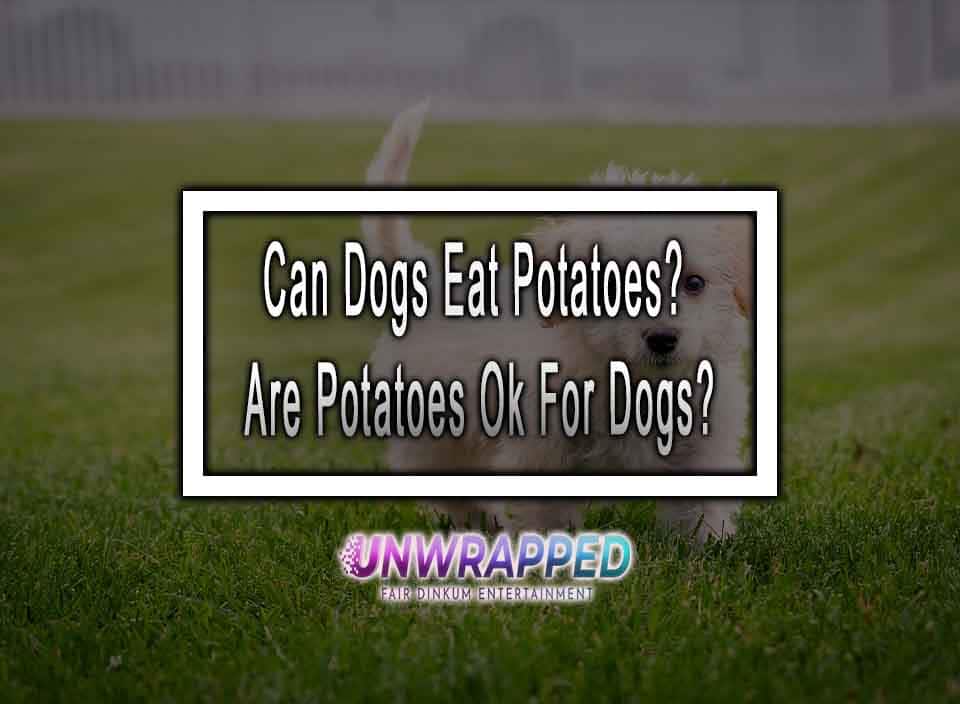 Can Dogs Eat Potatoes? Are Potatoes Ok For Dogs?