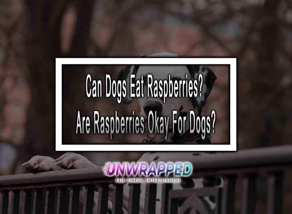Can Dogs Eat Raspberries? Are Raspberries Okay For Dogs?