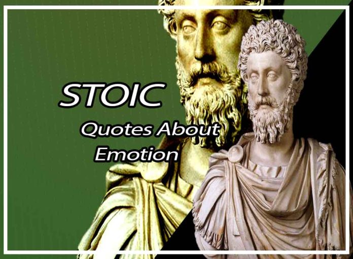 Meaningful Stoic Quotes About Emotion That Will Change Your Life  