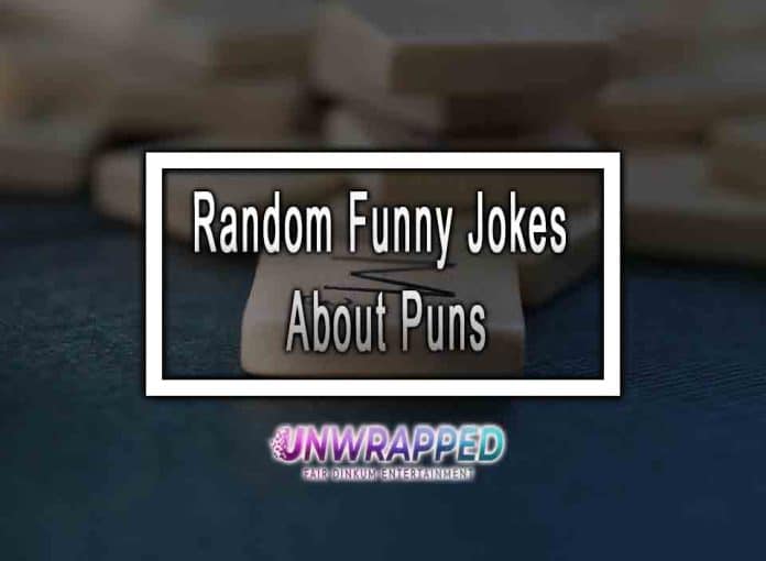 Random Funny Jokes About Puns