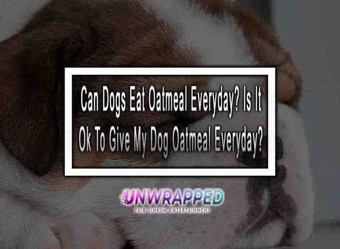Can Dogs Eat Oatmeal Everyday? Is It Ok To Give My Dogs Oatmeal Everyday?