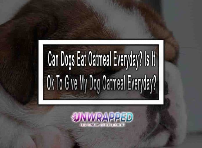 Can Dogs Eat Oatmeal Everyday? Is It Ok To Give My Dog Oatmeal Everyday?