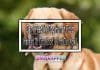 Can I Feed My Dog Human Food Instead Of Dog Food? Find Out Now!