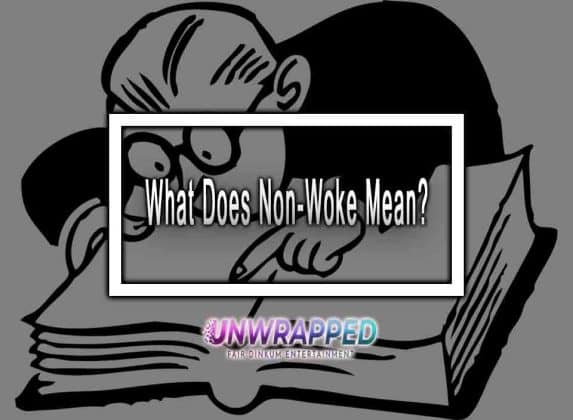 What Does Non Woke Mean 