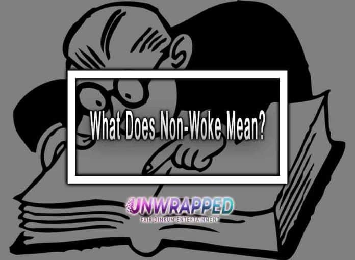 What Does Non-Woke Mean?