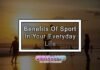 Benefits Of Sport In Your Everyday Life