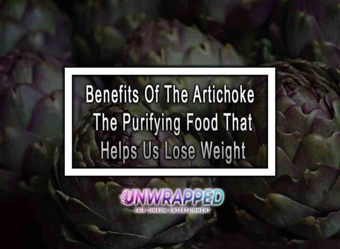 Benefits Of The Artichoke, The Purifying Food That Helps Us Lose Weight