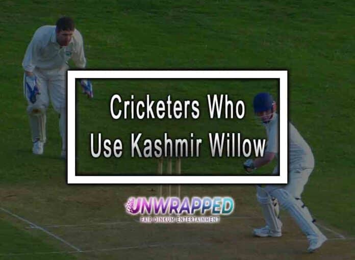 Cricketers Who Use Kashmir Willow