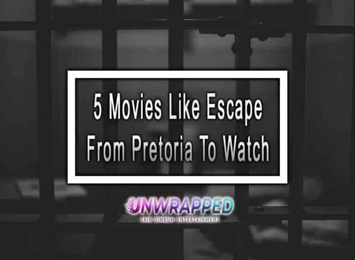 5 Movies Like Escape From Pretoria To Watch