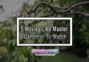 5 Movies Like Master Gardener To Watch