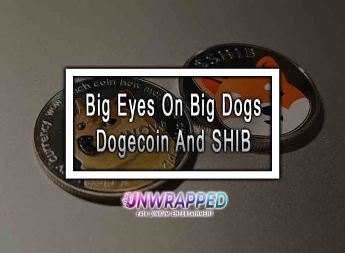 Big Eyes On Big Dogs Dogecoin And SHIB