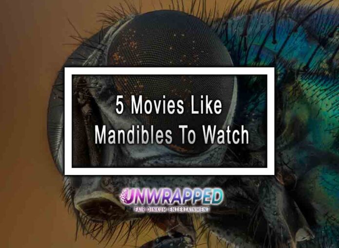 5 Movies Like Mandibles To Watch