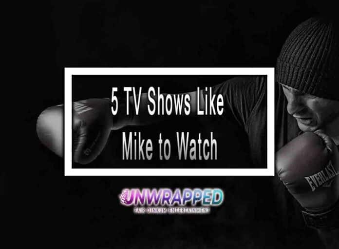 5 TV Shows Like Mike to Watch