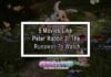 5 Movies Like Peter Rabbit 2: The Runaway To Watch