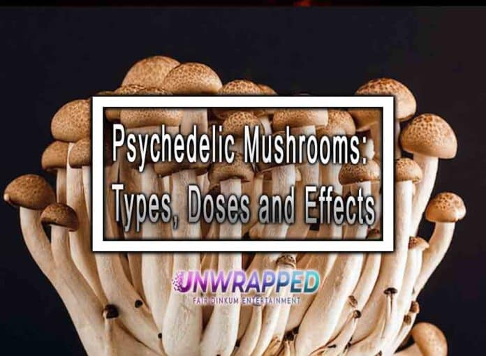 Psychedelic Mushrooms Types, Doses and Effects