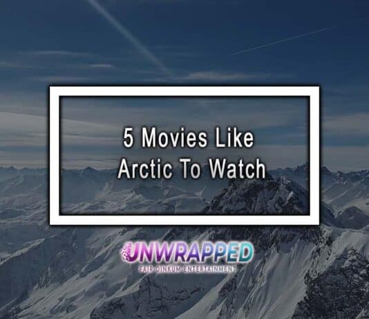 5 Movies Like Arctic To Watch