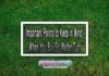 Important Points to Keep in Mind When You Buy Sir Walter Turf