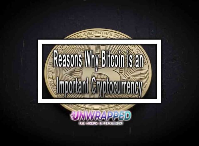 Reasons Why Bitcoin is an Important Cryptocurrency