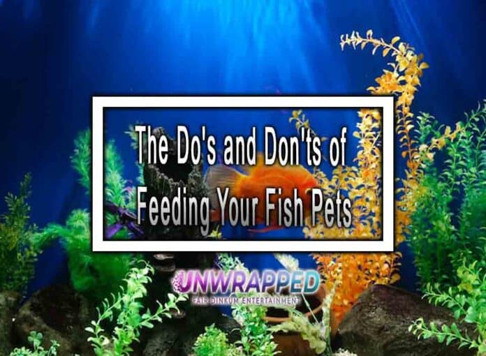 The Do's and Don'ts of Feeding Your Fish Pets