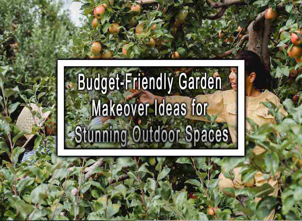 Curated visual reference: Visual Reference: Budget Friendly Garden Makeover Ideas For Stunning Outdoor Spaces